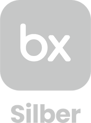 Offizieller Bexio-Silber-Partner